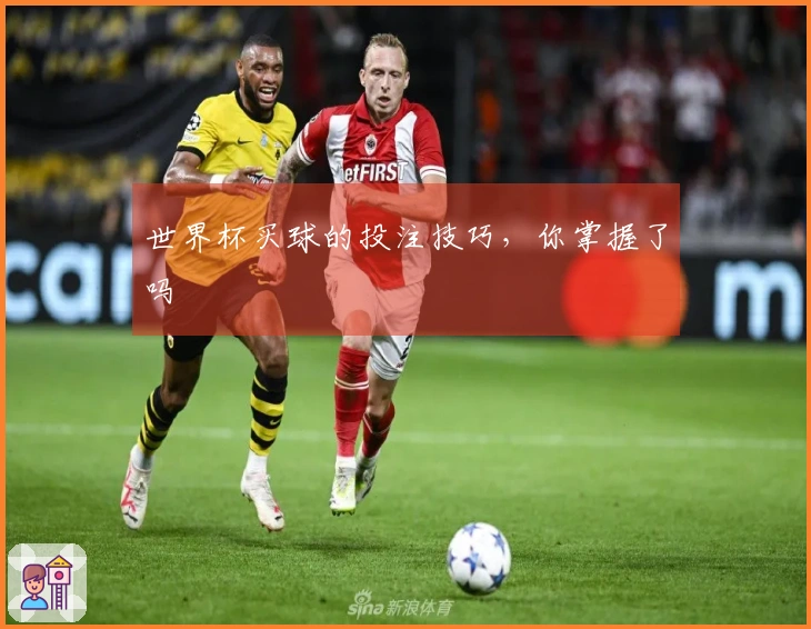 世界杯买球的投注技巧，你掌握了吗