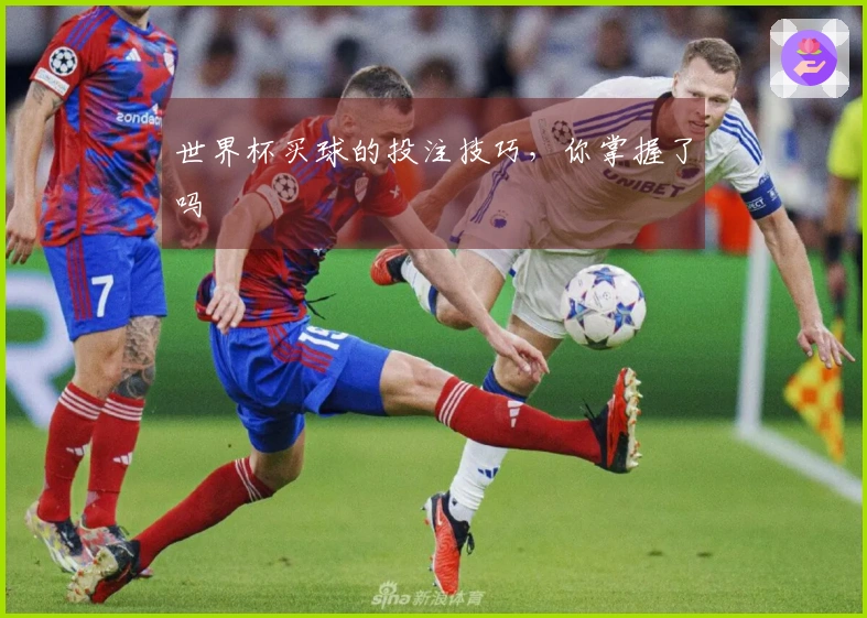 世界杯买球的投注技巧，你掌握了吗