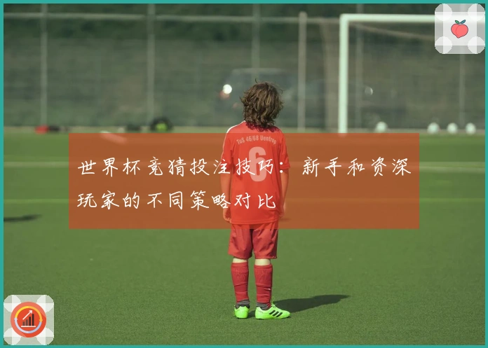 世界杯竞猜投注技巧：新手和资深玩家的不同策略对比