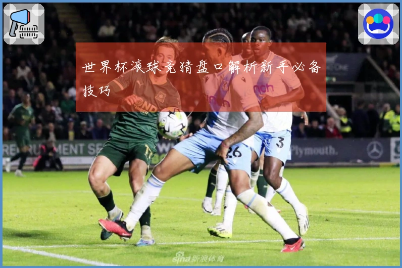 世界杯滚球竞猜盘口解析新手必备技巧