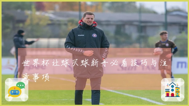 世界杯让球买球新手必看技巧与注意事项