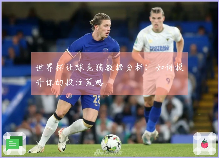 世界杯让球竞猜数据分析：如何提升你的投注策略