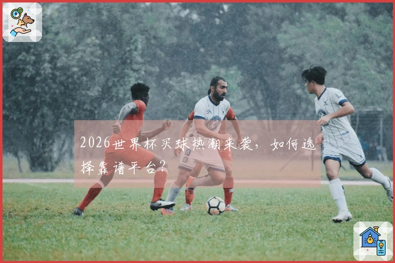 2026世界杯买球热潮来袭，如何选择靠谱平台？
