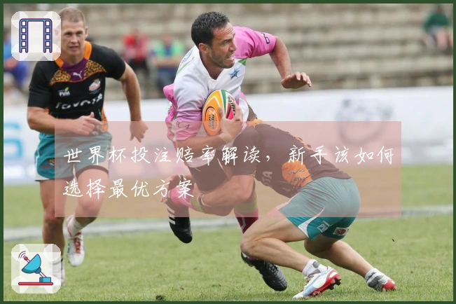世界杯投注赔率解读，新手该如何选择最优方案