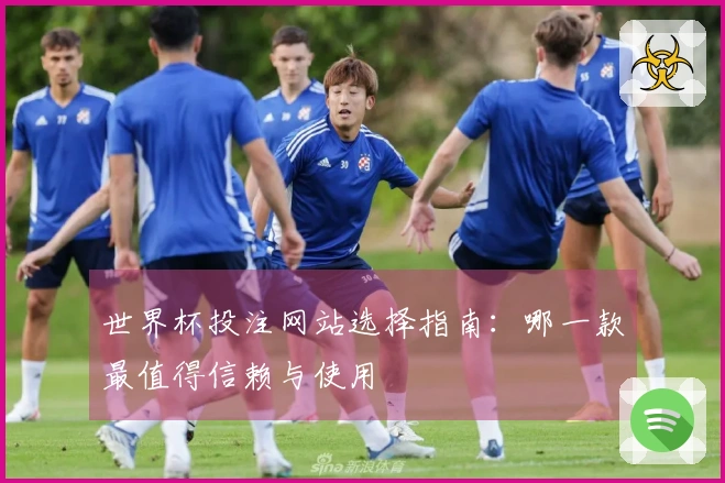 世界杯投注网站选择指南：哪一款最值得信赖与使用