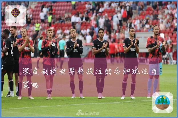 深度剖析世界杯投注的各种玩法与策略