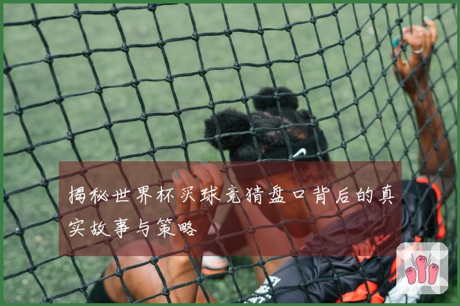 揭秘世界杯买球竞猜盘口背后的真实故事与策略
