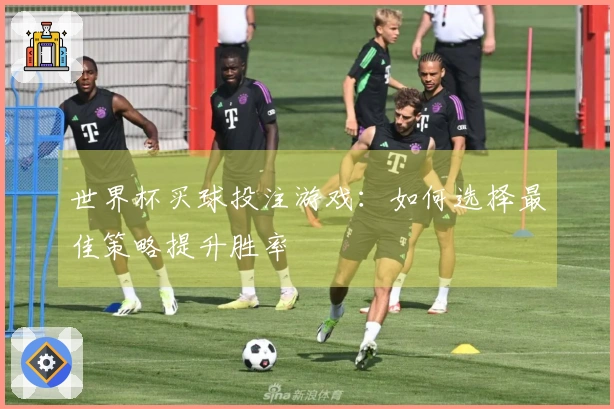 世界杯买球投注游戏：如何选择最佳策略提升胜率
