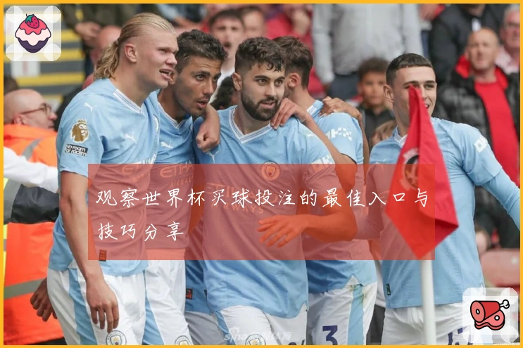 观察世界杯买球投注的最佳入口与技巧分享