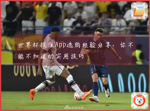 世界杯投注App选购经验分享，你不能不知道的实用技巧