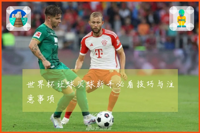 世界杯让球买球新手必看技巧与注意事项