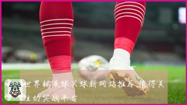 世界杯滚球买球新网站推荐 值得关注的实战平台