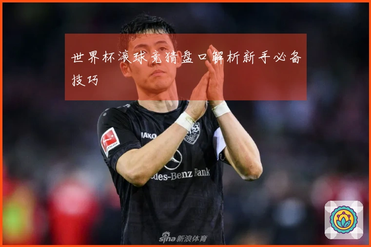世界杯滚球竞猜盘口解析新手必备技巧