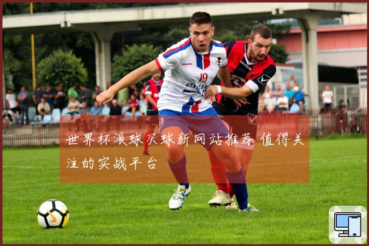 世界杯滚球买球新网站推荐 值得关注的实战平台